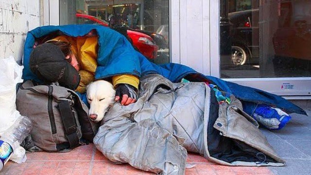 Leia mais sobre o artigo Morador de rua e seu cachorro morrem de frio e são encontrados abraçados