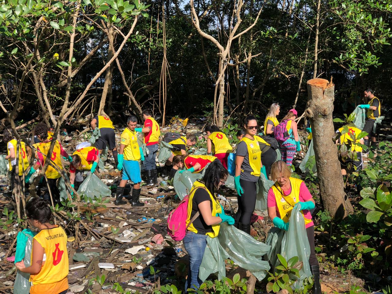 Leia mais sobre o artigo Coca-Cola FEMSA Brasil retira 1.4 tonelada de resíduos  do manguezal de Santos