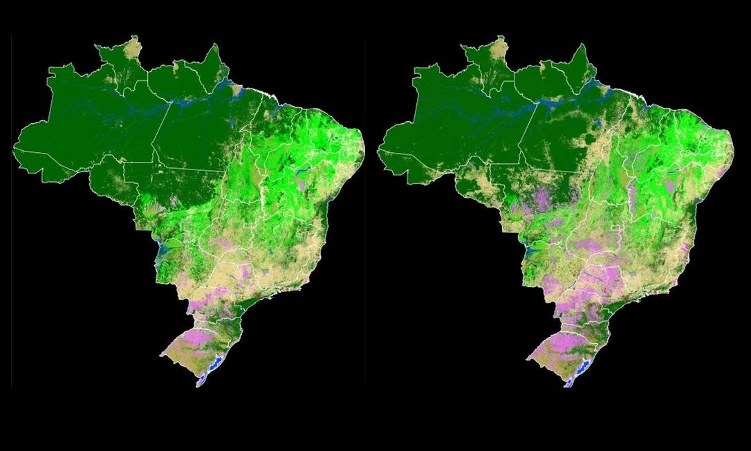 You are currently viewing Em três décadas, Brasil perde 71 milhões de hectares de florestas