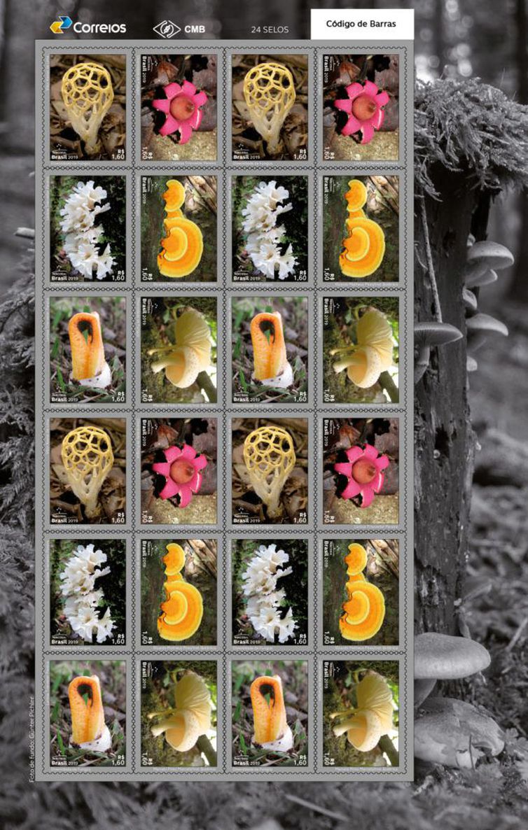 You are currently viewing Dia Mundial do Meio Ambiente: Correios lançam selos com o tema fungos
